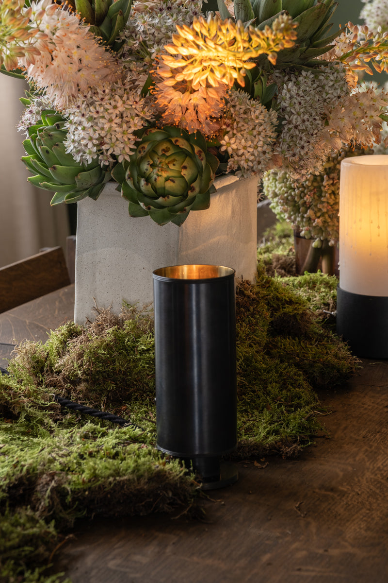 PSILAX BRONZE - Authentage